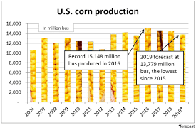 U S D A Lowers 2019 Corn Soybean Production Forecasts