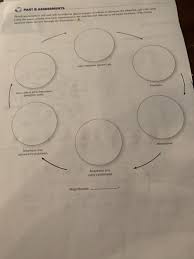 In this cell division, the two daughter cells have same number of chromosomes as that in the parent cells. Solved Part B Assessments Sketch An Interphase Cell And C Chegg Com