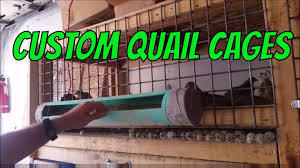 Rabbit hutch turned into a quail pen! How I Built My Quail Cages Youtube