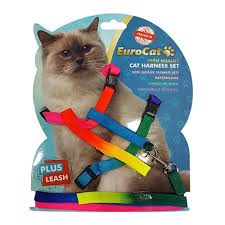 Eurocat Kedi Gogus Tasma Seti Gokkusagi Desenli