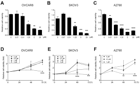Image result for Valrubicin