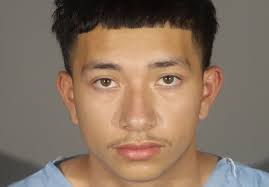 Ballet's Revival: Adults Embracing the Barre