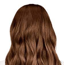 Light Brown Hair Color Como Golden Brown With Hints Of Mahogany Mahogany Brown Hair Color Hair Color Mahogany Mahogany Brown Hair