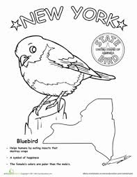 Printable birds coloring page to print and color. U S State Bird Coloring Pages Education Com