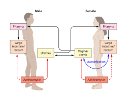 Pictures Of Stds Men Stds Std Symptoms Alternative Treatments