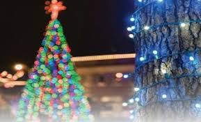 2018 Christmas Tree Lighting Ceremony Christmas Tree Christmas Tree Lighting Tree Lighting