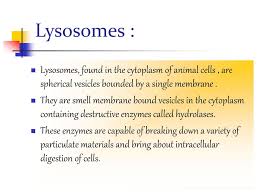 We did not find results for: Lysosomes And Perioxysomes Ppt Download