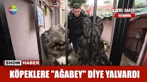 Kopeklere Agabey Diye Yalvardi Youtube