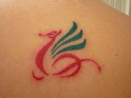 Dragons are part of the myths of many different cultures, and in each culture chinese and japanese dragon tattoos are very popular, but there are many other designs of dragon tattoos, all of which appeal to a wide variety of. Welsh Dragon Tattoo Papamoa New Zealand Dragon Tattoo Dragon Tattoo Designs Welsh Tattoo
