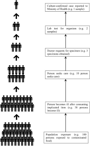 In 2019, there were approximately 16.6 thousand food poisoning cases reported in. Foodborne Diseases In Malaysia A Review Sciencedirect