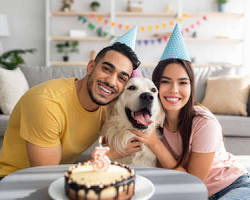 couple and their pet celebratingの画像