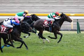 Maybe you would like to learn more about one of these? é‡è³žå›žé¡§ 2æ­³çŽ‹è€…ã¸ã®ç›´è¡Œä¾¿ 2020å¹´ äº¬çŽ‹æ¯2æ­³ã‚¹ãƒ†ãƒ¼ã‚¯ã‚¹ ç«¶é¦¬ã‚³ãƒ©ãƒ  ãƒ‹ãƒ¥ãƒ¼ã‚¹ ã‚¦ãƒžãƒ•ãƒª