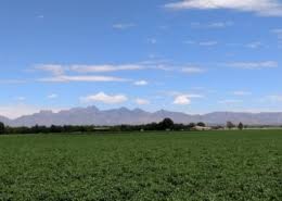 Check spelling or type a new query. 2020 Las Cruces Showcase Of Homes Arista Development Llc