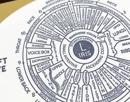 iridology chart eye card blackbird letterpress