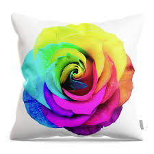 Closeup of a rainbow colored rose in full bloom Throw Pillow by Amy Cicconi 