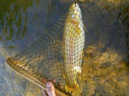 fly fishing the yough rivers roads