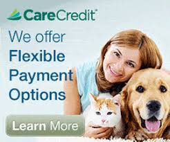 The wells fargo credit card doesn't provide any reimbursement for pet care service expenses. Vet Services Payment Information Pet Health Insurance Options