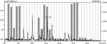Image result for Cuscuta hyalina