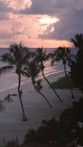 Here you can find the best sunset beach wallpapers uploaded by our community. Tumblr Beach Palm And Sunset 610x1084 Download Hd Wallpaper Wallpapertip