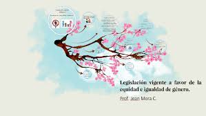 Translations of the phrase equidad e igualdad from spanish to english and examples of the use of equidad e igualdad in a sentence with their translations: Legislacion Vigente A Favor De La Equidad E Igualdad De Gene By Jean Mora Canales