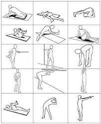 The Best Hip Stretches Which Are The Best Ones For You Basic Yoga Poses Yoga Poses Photography Basic Yoga