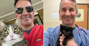 Veterinarian Who Rates Patients Gives Top Marks to Black Kitten