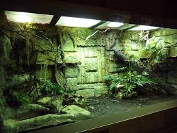 P1180813 166408 Jpg 1600 1200 Reptile Terrarium Snake Terrarium Reptile House