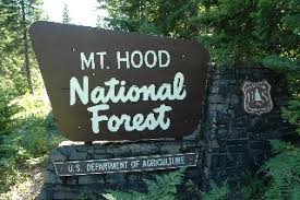 We did not find results for: Mt Hood National Forest Campgrounds