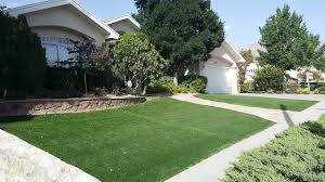 The beetles can chew through sealed packaging such as cardboard boxes, plastic bags and foil wrappings. Which Types Of Grass Are Best For El Paso Tx Lawns Lawnstarter