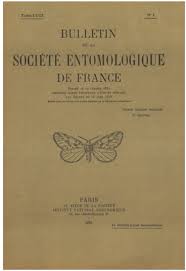 Image result for Chrysochloa