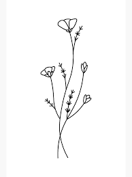 Isolated flax flowers illustration element on white background. Black And White Minimalist Flowers Art Board Print By Eknicole Redbubble