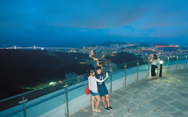 Mount Hwangnyeong Night Scenery