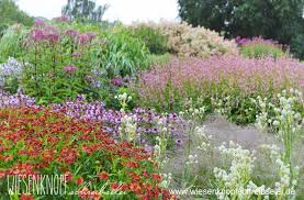Millennium Garden Designed By Piet Oudolf Mit Helenium Garten Spaziergange