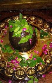 World Of Divine - 🔱சிவமூலிகைகளின் சிகரம் வில்வம்... இறைவன் நமக்களித்த  செல்வம்! வில்வம், 'சிவ மூலிகைகளின் சிகரம்' என்றும் 'மும்மூர்த்திகளின் ...