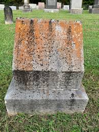 Lucile VanWinkle (1913-1913)