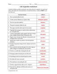 Set the zoom to 500x. Cell Organelles Analogies Worksheet Answers Docsity