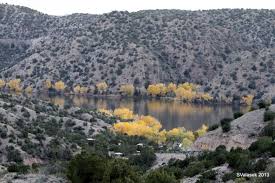 Common Loon in New Mexico | From Burgh to Burque