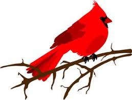 Bird Sitting On Tree Branch Drawing Free Cardinal Clip Art Image A Beautiful Red Cardinal Sitting On A Tree Branch Bird Clipart Tree Drawing Red Bird Tattoos