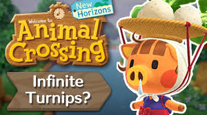Daisy Mae - Animal Crossing Wiki - Nookipedia