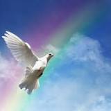 Image result