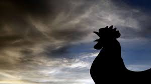 Sekedar informasi, penyebab dari mimpi menjual ayam itu sendiri adalah emosi yang terbawa terus sehingga dalam tidur kita pikiran bawah sadar . Tafsir Mimpi Dan Arti Mimpi Ayam Akan Dapat Rezeki Melimpah Dan Bisnis Lancar Jaya Suara Bali