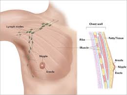 Although the affected breast is not usually very tender, it is red, swollen, and warmer than the other breast. About Our Program For Breast Cancer In Men Dana Farber Cancer Institute Boston Ma