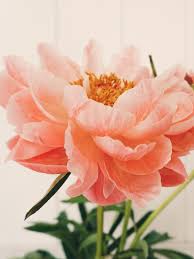Order by 3pm for flower delivery today. 15 Best Flower Delivery Services For Mother S Day In 2021 Self