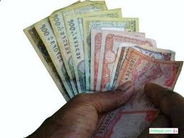 This is where most pension funds invest. Major Income Source Of Nepal