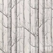 Black And White Birch Tree Wallpaper Woodsy Wallpaper Birch Tree Wallpaper Tree Wallpaper Bedroom Birches Wallpaper