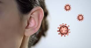 Geht Corona Auf Die Ohren Metastudie Liefert Hinweise Auf Vermehrte Schwerhorigkeit Und Tinnitus Durch Covid 19 Scinexx De