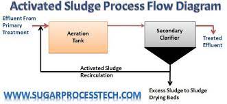 Activated Sludge Process For Wastewater Treatment Anaerobic Digestion