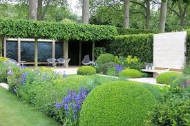 Pin On Gardening Ideas
