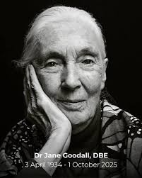 Today we pause to honor the life and legacy of Dr. Jane Goodall