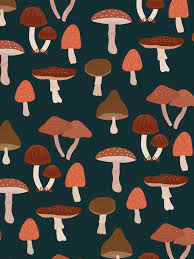 We have an extensive collection of amazing background images carefully chosen by our community. Pin On Muchable